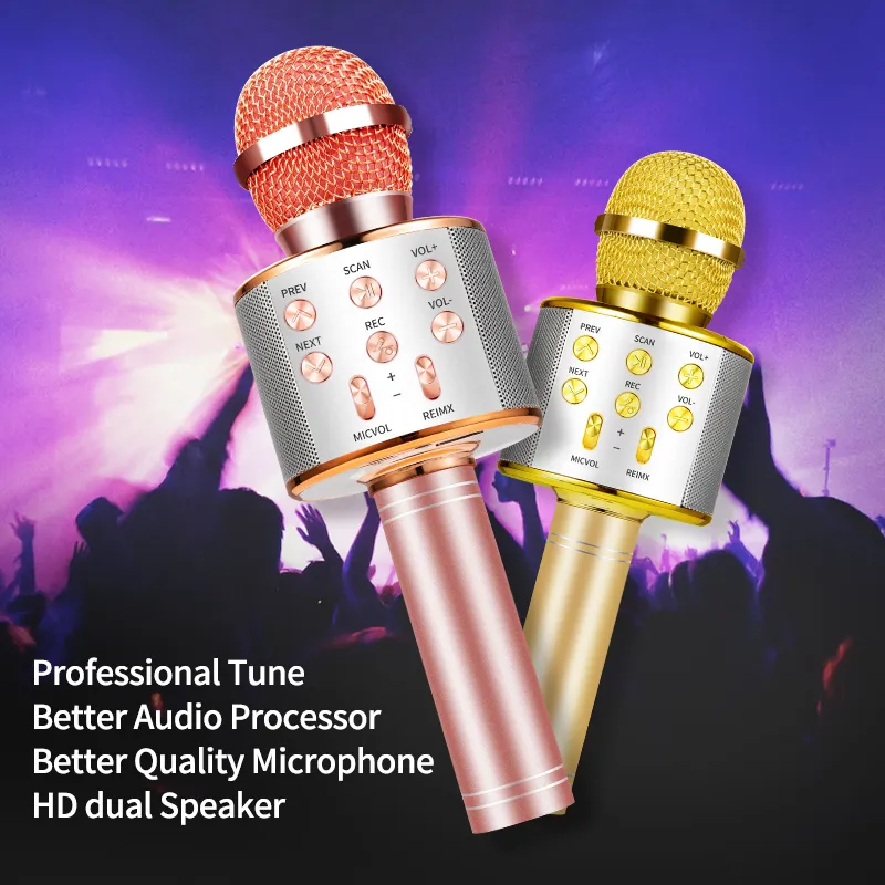 MICROPHONE 858 AVEC HAUT PARLEUR