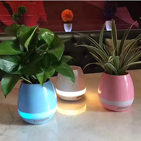HAUT PARLEUR BLUETOOTH   MUSIC PLANTE