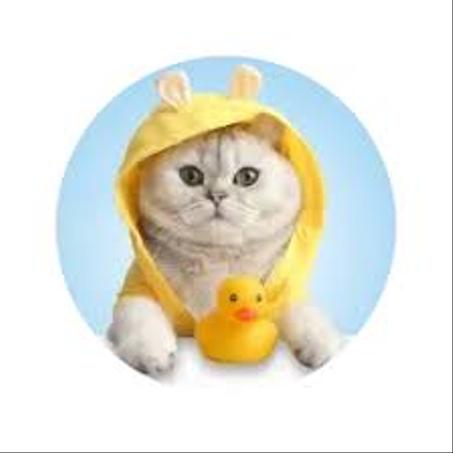 مستلزمات الحيوانات الأليفة