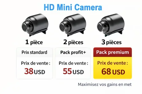 Mini caméra WiFi à Vision nocturne 1080P HD
