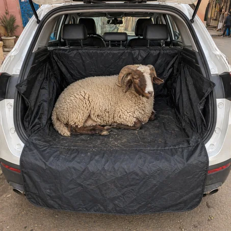 Tapis de Coffre Imperméable Universelle - Zéro Saleté, Zéro Stress