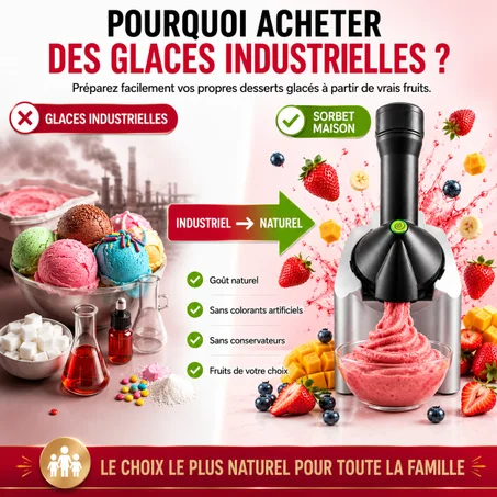 Machine à Sorbets Maison Ice Cream Maker
