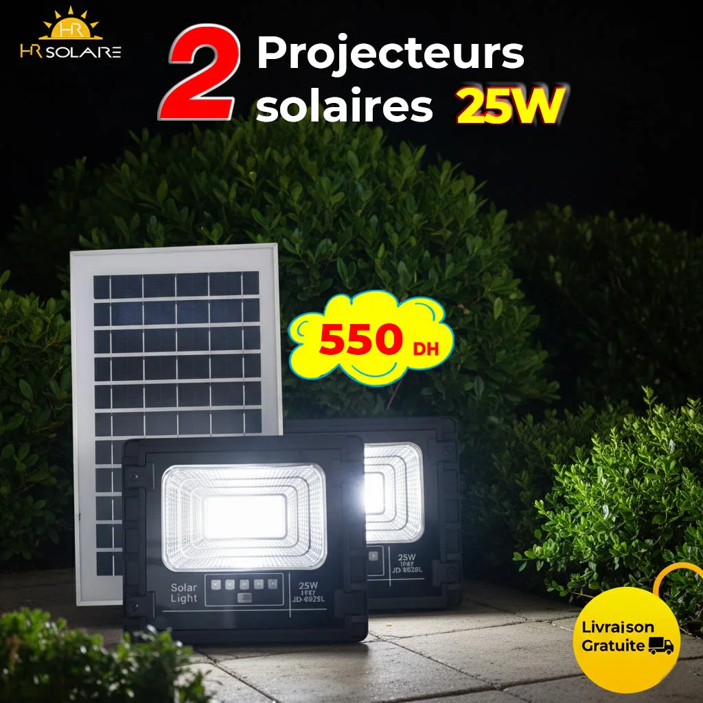 Promotion 2 projecteur solaire 25W JD 8825L