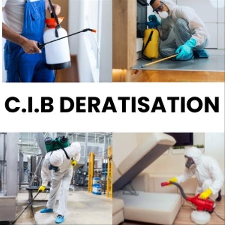 C.I.B DERATISATION
