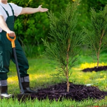 Service de pause et fourniture