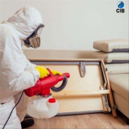 Dératisation pour les particuliers