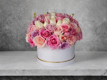 Pink Harmony – Élégance & Romance