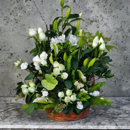 Pure Serenity – Panier de Fleurs Blanches