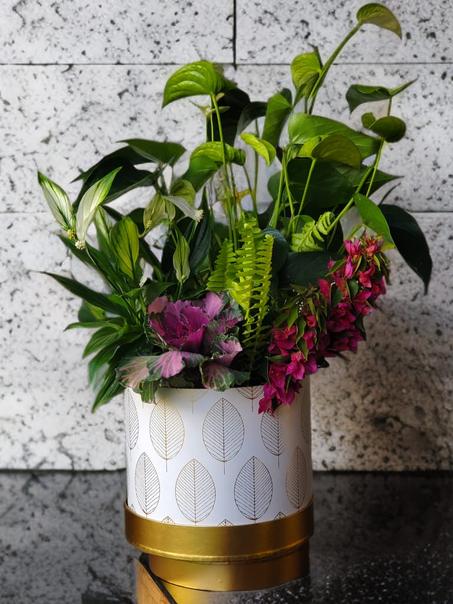 Nature Luxe – Composition Verte & Colorée 🌿💜✨