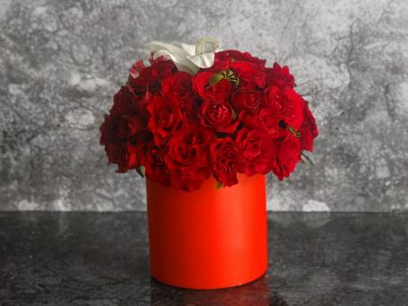 Éclat Rouge & Pureté Blanche