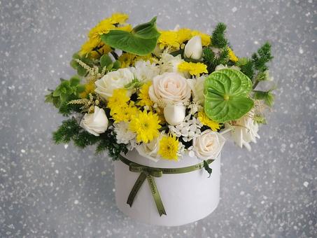 Sunny Bloom – Joie & Pureté