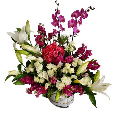 Éclat Royal – Orchidées & Roses en Harmonie