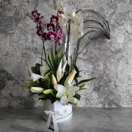 Élégance Orchidées & Lys Blancs – Composition Prestige