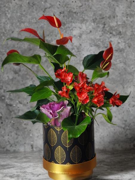 Éclat Rouge – Anthurium & Alstroemeria ❤️✨