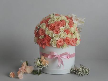 Peach & Cream Harmony Box