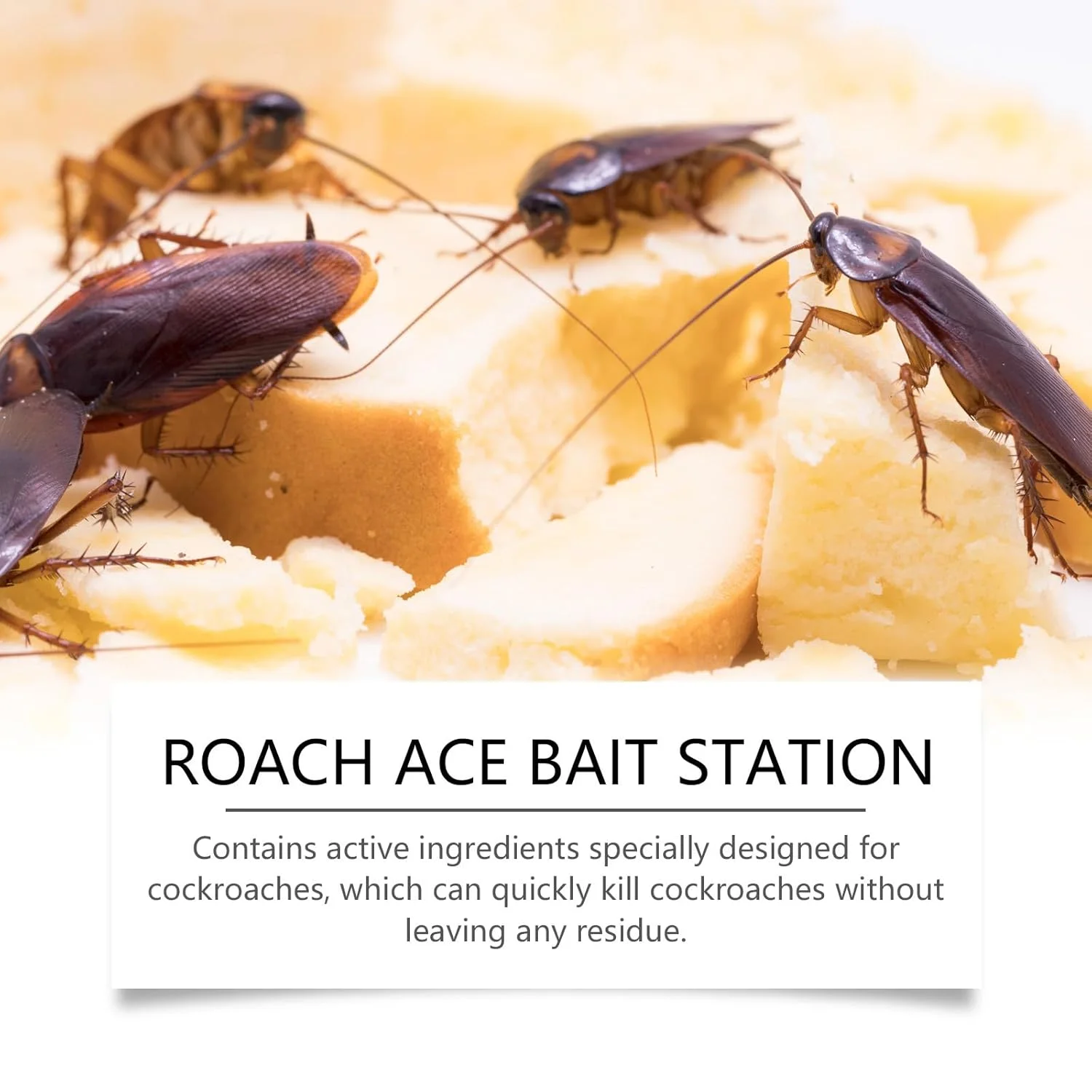 Roach Ace™ – La Solution Discrète Qui Élimine les Cafards à la Source