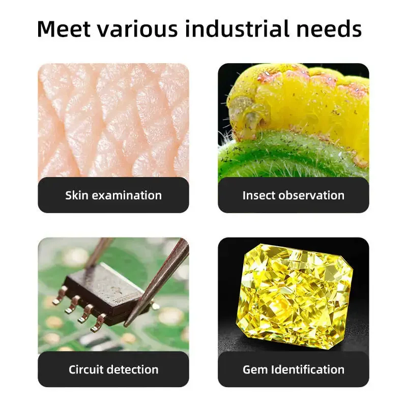 MicroExplore™ 1000X - Microscope Numérique USB : Laboratoire de Poche pour Enfants & Curieux