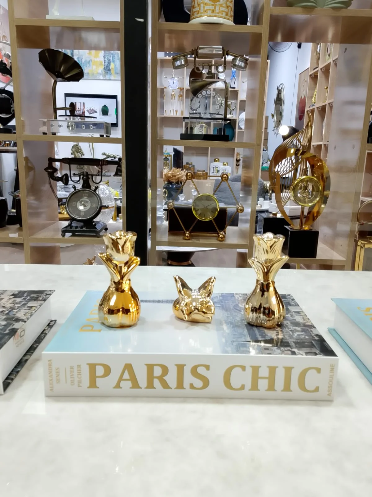 Pack promotionnel Décoratif Luxueux – Figurines sur un faux livre