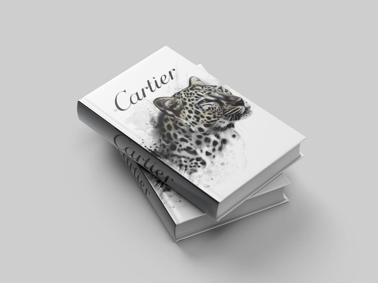 Faux livre super qualité