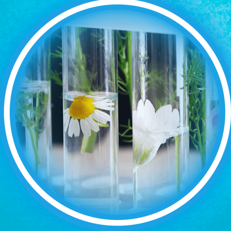 عطور طبيعية