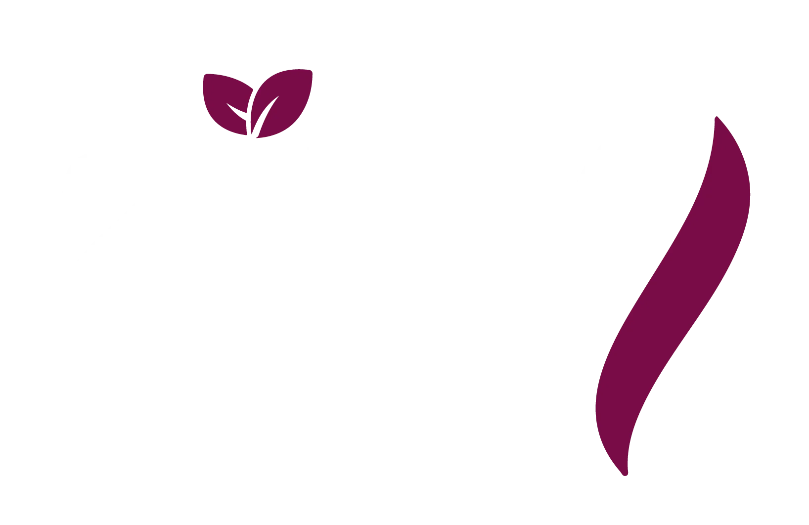 Zinly Store