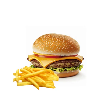 Cheese burger + frites / برغر فرماج