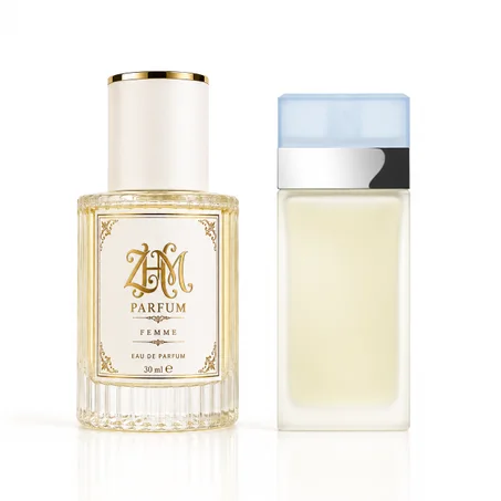 Light Blue — Dolce & Gabbana