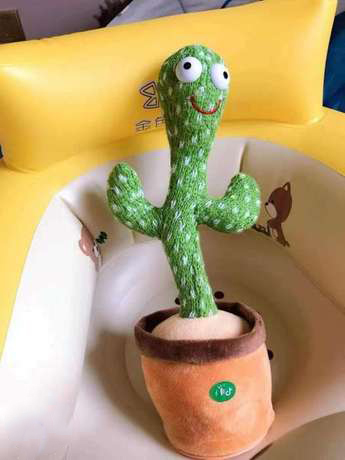 الصبارة الراقصة