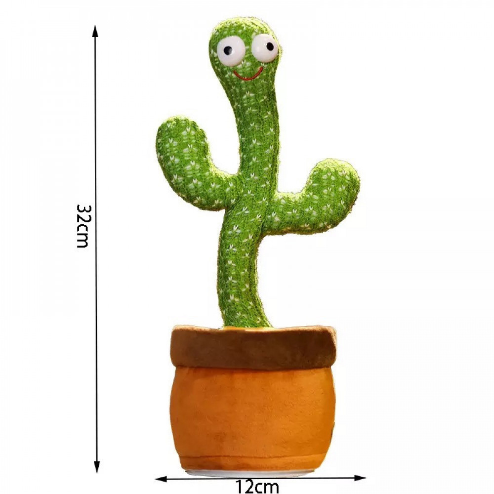 الصبارة الراقصة