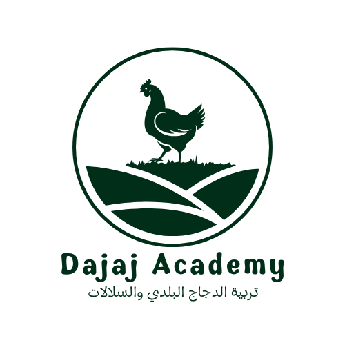 Dajaj Academy