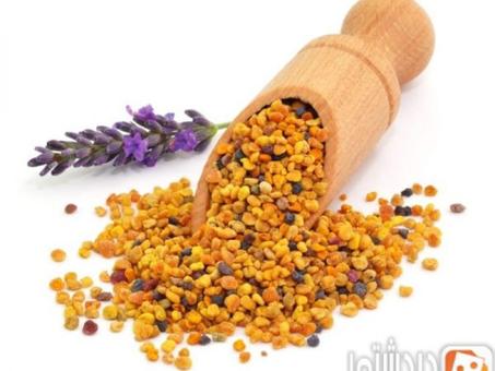 حبوب اللقاح