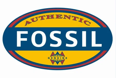 Fossil pour homme