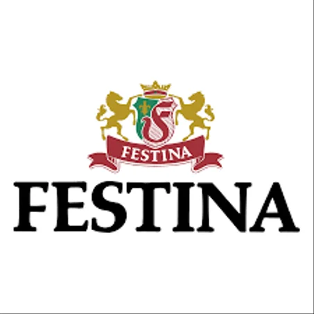Festina pour homme