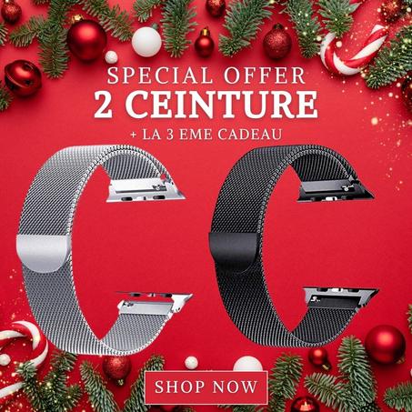 Pack 2 ceintures smartwatch