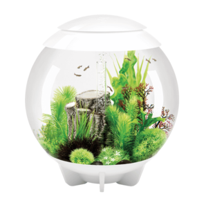 Biorb Halo 15 Mcr WHITE