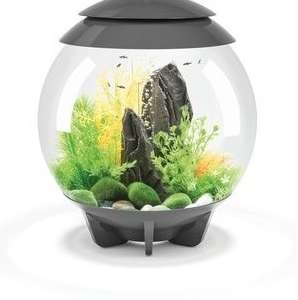 Biorb Halo 30 Mchrgrey Decor Garden