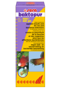 Sera Baktopur