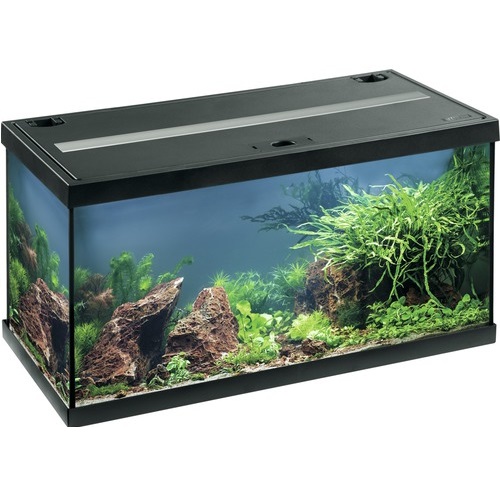 Eheim Aquastar 54 Led Noir