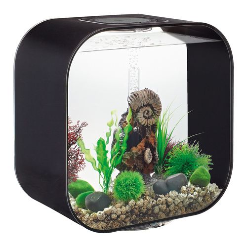Biorb Life 30 MCR Black Decor Garden