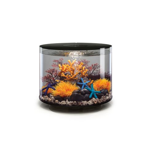 Biorb Tube 35 MCR blank Decor Coral