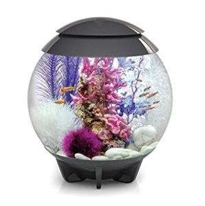 Biorb Halo 30 Mchrgrey Decor Ocean
