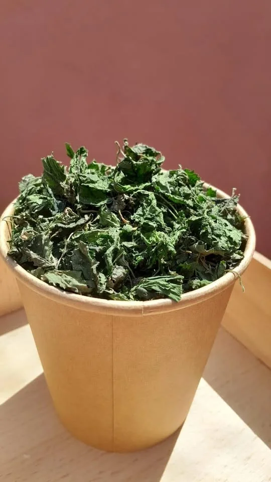 Plantes