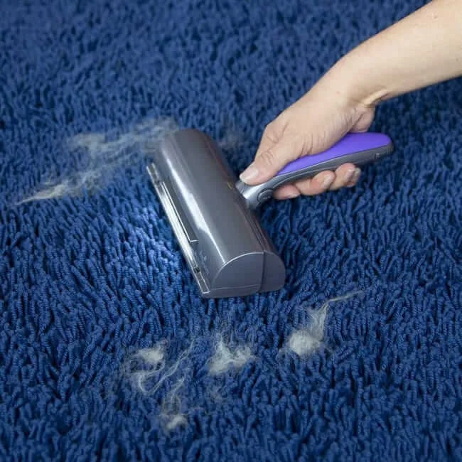 إزالة شعر الحيوانات الأليفة