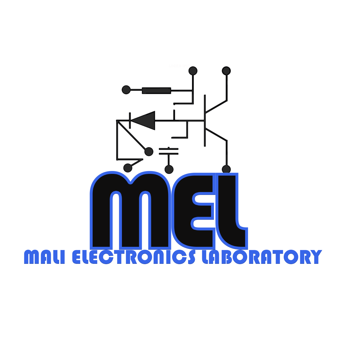 malielectronicslaboratory