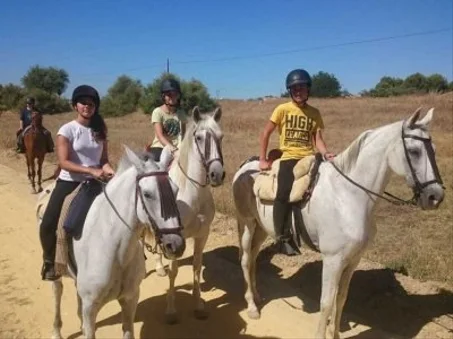 Balade Cheval