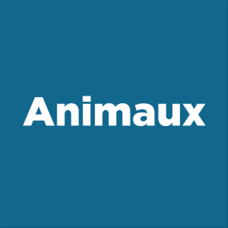 Animaux