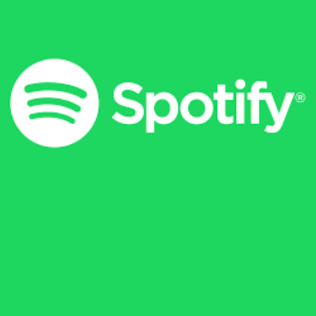 Spotify Individual Premium 1/3/6/12 Months Subscription