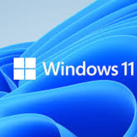 (Windows 11 Home/Pro/Enterprise - Windows Key (Global
