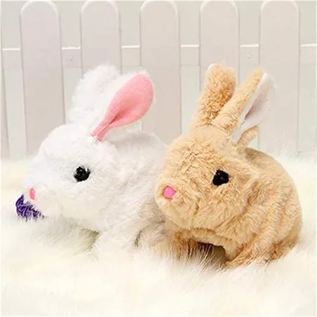 Petit lapin