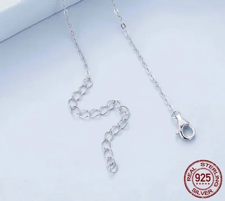 Chaîne argent S925 pure Garantie